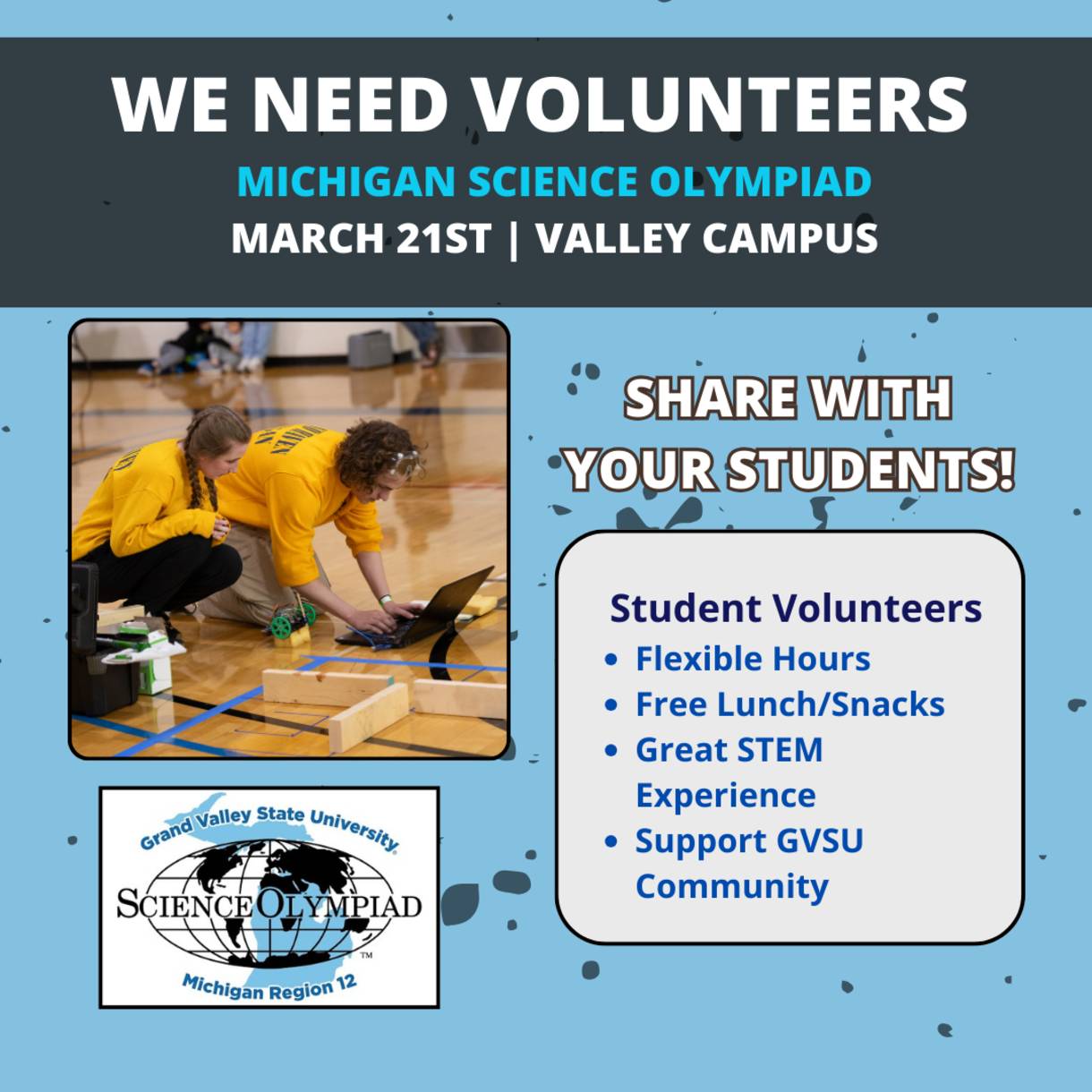 MSO Volunteer Flyer